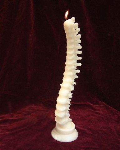 White Candles Wedding, Candle Making Shop, Spine Candle, Weird Candles, Candle Workshop, Creative Candles, Skull Candle, Goth Home Decor, Candle Making Supplies