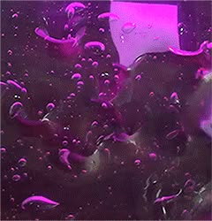 Purple Slime Aesthetic, Purple Slime Gif, Purple Stim Gif, Purple Stimboard, Visual Stimming, Slime Gif, Purple Slime, Stim Board Gifs, Sensory Gifs