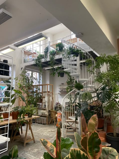 Houses Full Of Plants, Aesthetic Plant Apartment, Aesthetic Apartment Plants, Plant Nerd Aesthetic, Green Plant House Aesthetic, Green Home Astetic, House Filled With Plants, Green House Asthetics, Plant House Interior