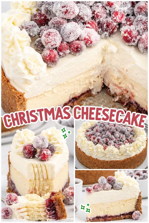 Christmas Cheesecake Cheesecake With Cake Layer, Cheesecake And Cake Layer, Different Types Of Cheesecake, Gluten Free Christmas Cheesecake, Easy Cheesecake No Bake, Decorate A Cheesecake, Christmas Tree Cheesecake, Cheesecake Whipped Cream, Christmas Cheesecakes