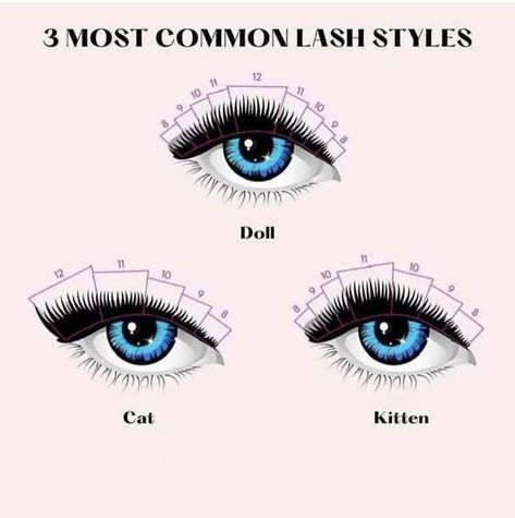 Eyelash Mapping, Lash Academy, Nail Tech School, Eyelash Studio, Eyelashes Tutorial, Lash Tricks, Lash Extentions, Beauty Room Salon, Lashes Tutorial