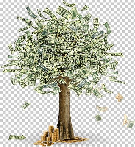 Money Images Pictures, Money Tree Tattoo, Money Background For Editing, Money Trees Wallpaper, Abundance Of Money Images, Money Abundance Images, Money Tree Ideas, Gold Money Wallpaper, Pile Of Money