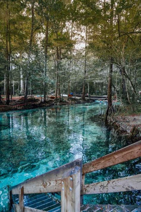 Springs in Florida - the very best natural springs to see in Florida USA including Ginnie Springs, Rainbow Springs, The Three Sisters Springs, Silver Springs, Kelly Park Rock Springs, Juniper Springs, High Springs and more! The most crystal clear springs in Florida. Should you visit Alexander Springs or Ichetucknee and will you see a manatee all your questions answered | what to do in florida | florida travel | florida trip| #florida #springs #floridavacation Alexander Springs Florida, Kelly Park Rock Springs Florida, Ichetucknee Springs Florida, Three Sisters Springs Florida, Florida Girl Aesthetic, Rainbow Springs Florida, Florida Outfits Vacation, Natural Springs In Florida, Outfits Florida