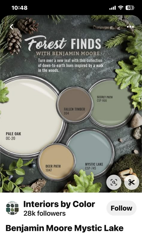 Forest Paint Colors Colour Palettes, Enchanted Forest Paint Color, Cottagecore Paint Colors Sherwin Williams, Woodland Moss Behr, Behr Muted Sage Color Palette, Dakota House, Shaw House, Stairs Remodel, Basement Stairs Remodel