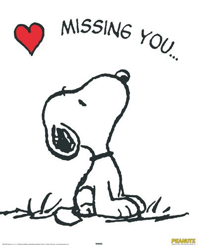 I did today and everyday that we arent togethet ... Search "missed you today" my pin to you is the second one hahaha its a goodmorning one ...i love you baby i really thought that i was going to see you today but its alright baby i understand i really do  i love you so much :* Snoopy Dog, Lucy Van Pelt, Keep Looking Up, Snoopy Images, Peanuts Cartoon, Snoopy Quotes, Snoop Dog, Kuching, Snoopy Love