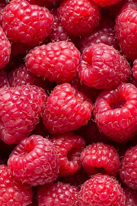 Fresh raspberries. Superfood Fruits, September Homeschool, Raspberry Images, Yellow Raspberries, Raspberry Plants, Paige Halliwell, Frozen Raspberries, Freeze Dried Raspberries, Dried Raspberries