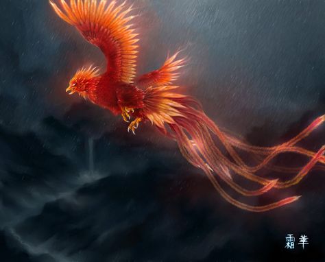 Suzaku by Vyrilien Vermilion Bird, Mythical Birds, Chinese Mythology, Fire Element, Phoenix Bird, Fire Bird, Ancient Origins, Legendary Creature, Bird Wallpaper