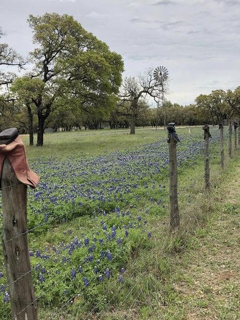 TEXAS BACK ROADS | Willow City Loop, Fredericksburg, a spring tradition | Facebook Texas Places, Back Road, Texas, Road