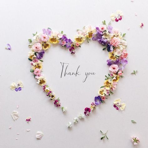 Thank You Messages Gratitude, Thank You For Birthday Wishes, Thank You Pictures, Thank You Wishes, Thank You Images, Thank You Flowers, Thank You Quotes, Thank You Greetings, Birthday Wishes Quotes