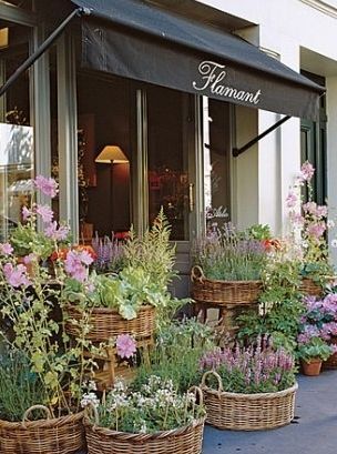 Flamant Flower Shop in Paris                                                                                                                                                                                 More French Florist Aesthetic, English Florist Shop, Florist Exterior Shop Fronts, Small Flower Shop Exterior, Store Front Flower Pots, French Florist Shop, Flower Shop Front Design, Small Florist Shop Ideas, Flower Shop Vintage