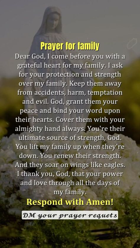 Prayers For My Family Strength, Prayer To Protect My Family From Evil, Prayer For My Family Protection, Prayers For Protection Over My Family, Prayer For Husband Protection, Family Prayers For Blessings, God Protect My Family, Prayer For Protection For Family, Prayer For My Parents