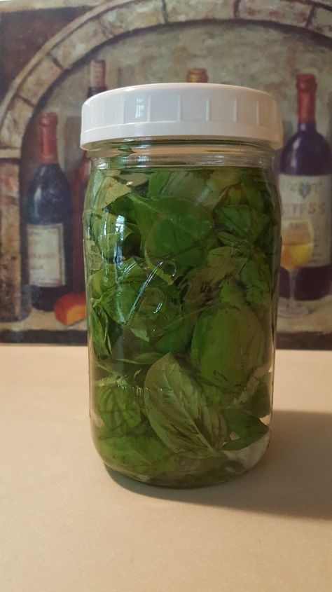 Store Fresh Basil, Basil Vinegar, Basil Soap, Storing Veggies, Addition Exterior, Basil Garden, Drying Fresh Herbs, Herbal Vinegar, Flavored Vinegars