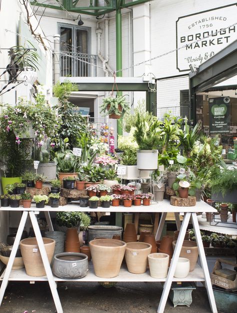 Diy Market Display Stand, Farmers Market Plant Stand, Florist Market Stall, Farmers Market Plant Display, Plant Market Stall, Plant Sale Ideas, Flower Stall Aesthetic, Flower Market Stall, Farm Stand Flowers