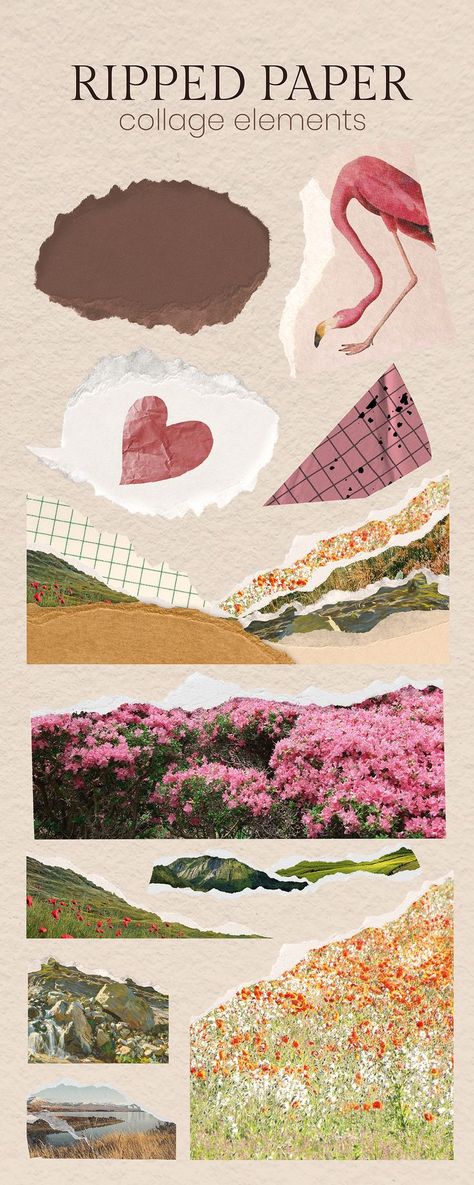 Collage Border Designs, Sticker Pages Aesthetic, Digital Collage Elements, Cute Collage Template, Collage Pieces Png, Scrapbook Style Graphic Design, Ripped Paper Png Aesthetic, Scrapbook Stickers Png, Ripped Paper Aesthetic