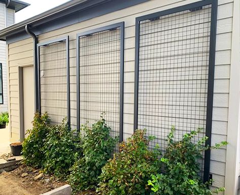 CityScapes Architectural Innovations NatureScreen Single Layer Mesh Trellis System | Landscape Architect Mesh Trellis, Window Options, Trellis System, Wire Trellis, Trellis Ideas, Landscape Products, Erosion Control, Gardens Design, Landscape Architects