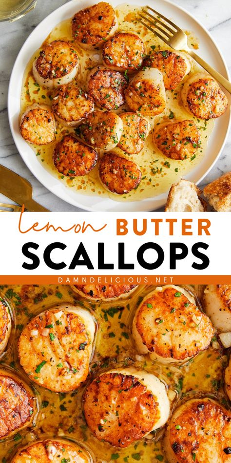 Look forward to these garlic lemon butter scallops! Rich in flavor while being fancy-looking, these pan seared scallops are one of the best appetizer recipes. Ready in 10 minutes using just 5 ingredients, they're also a perfect busy weeknight dinner! Lemon Scallops, Lemon Butter Scallops, Easy Scallop Recipes, Scallop Recipe, Butter Scallops, Lemon Butter Salmon, Recipes Seafood, Pan Seared Scallops, Seafood Entrees