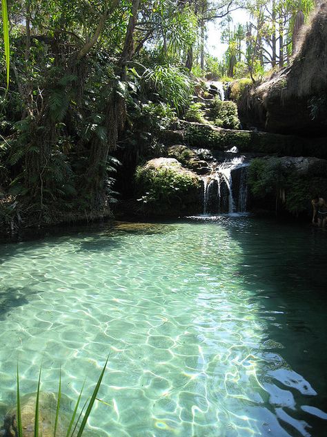 Natural swimming pool, Isalo national park, Madagascar by thor_, via Flickr Natural Swimming Pools, Natural Swimming Pool, Natural Pool, Pretty Places, Blue Water, Vacation Spots, Dream Vacations, Madagascar, Travel Dreams