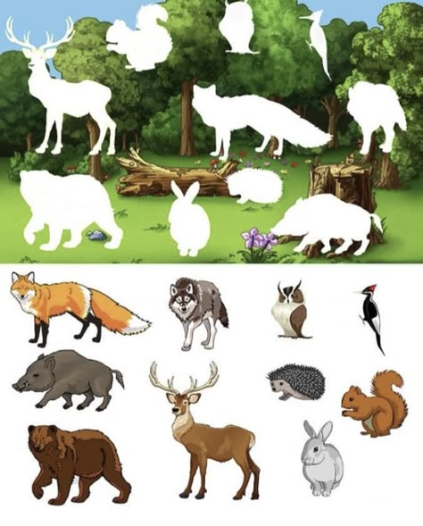 Preschool Pets Unit, Preschool Pets, Forest Animals Preschool, Animals Jokes, Preschool Designs, Pets Preschool Theme, Preschool Decor, Theme Preschool, Diy Kids Games