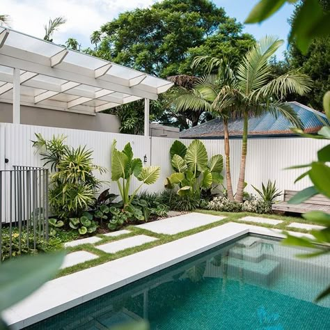 Hamptons Style Garden, Plants Around Pool, King Palm, Tropical Pool Landscaping, Pool Area Ideas, Pool Paving, Pool Plants, Coastal Landscaping, Garden Screens