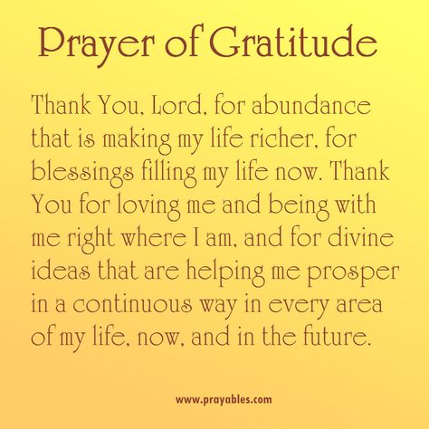 Daily Prayer. Because a Beautiful Life Doesn’t Just Happen – Prayables Prayer Of Praise, Prayer Of Thanks, Prayers Of Gratitude, Thanksgiving Prayer, Everyday Prayers, Evening Prayer, Good Morning Prayer, Gratitude Affirmations, Christian Prayers