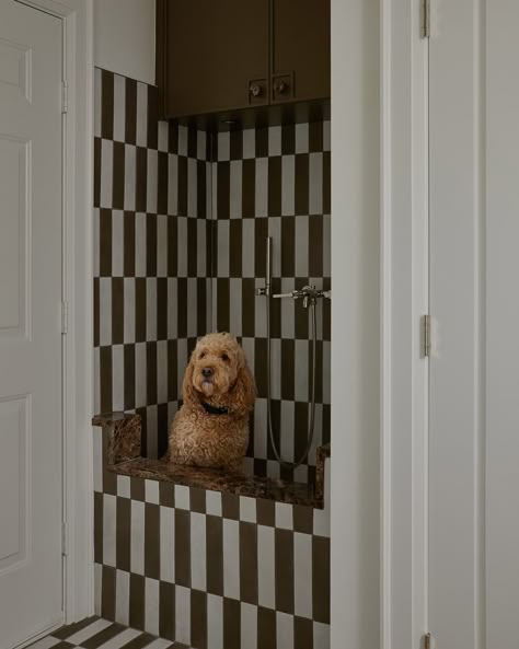 Plumbstead – Collective Studio Dog Grooming Rooms At Home, Mud Crafts, Cool Girl Apartment, Striped Floor, Alaska House, Doggie Day Care, Collective Studio, Kitchen Mudroom, Washing Station