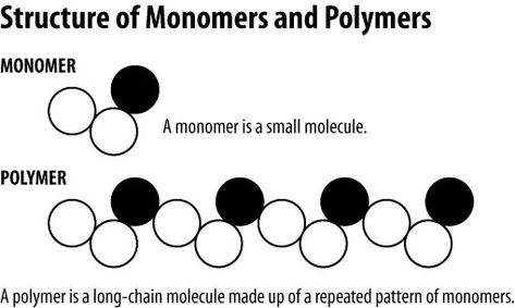 What are the monomers and polymers of protein? | Socratic Nitrogenous Base, Biology Revision, Dna Replication, Nucleic Acid, Teaching Biology, Field Trips, Anatomy And Physiology, Biochemistry, Amazing Facts