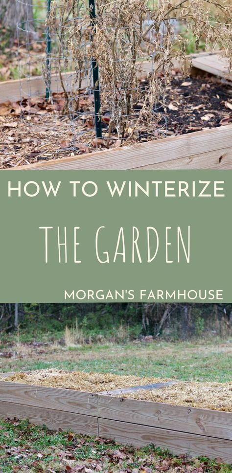 The first frost has come, which means a freeze is sure to arrive shortly. Make sure you know how to winterize the garden to make springtime more productive. Don’t just pick the end of the harvest and forget about the beds. We need to “make the beds” now that we are done with them. Do just a little work now and reap the big benefits later. How To Winterize Garden Beds, Winterizing Garden Beds, Winterize Garden Beds, Winterize Raised Garden Beds, Winterize Garden, Above Ground Garden, Garden Winter, We Are Done, Garden 2023