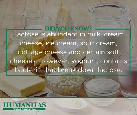 Lactose intolerance is the inability of your body to process lactose. Dealing with lactose intolerance is all about knowing which foods are most likely to affect you. Lactose Intolerance, Lactose Intolerant, Soft Cheese, Cottage Cheese, Infants, Sour Cream, Cream Cheese, Ice Cream, Milk