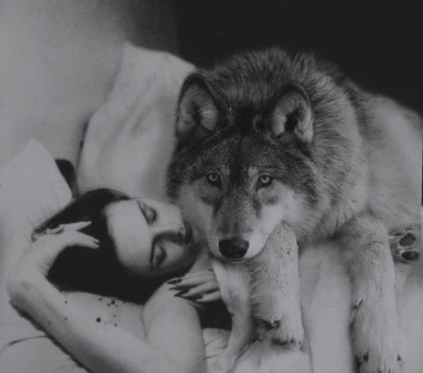 Grey Wolf Queen Photo Snapchat, Werewolf Aesthetic, Wolves And Women, Wolf Quotes, Wolf Love, Wolf Pictures, Wolf Spirit, Wolf Girl, Bad Wolf