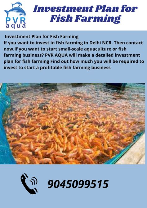 If you want to invest in fish farming in Delhi NCR. Then contact now.If you want to start small-scale aquaculture or fish farming business? PVR AQUA will make a detailed investment plan for fish farming Find out how much you will be required to invest to start a profitable fish farming business. Fish Life Cycle, Prawn Farming, Catfish Farming, Lake Sturgeon, Backyard Aquaponics, Investment Plan, Farming Business, Check Mate, Vertical Farming