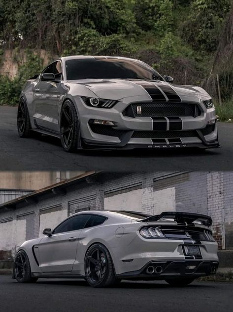 Grey Mustang, Ford Mustang Shelby Gt350, Nissan Gt R R35, Fuel Efficient Cars, Shelby Gt350, Shelby Gt500, Ford Mustang Shelby, Nissan Gt-r, Mustang Shelby