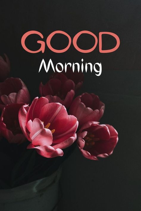 Gooooood Morning, Good Morning Hd, Gud Morning Images, Good Morning Clips, Gud Morning, S Letter Images, Letter Images, Galaxy Wallpaper Iphone, Morning Morning