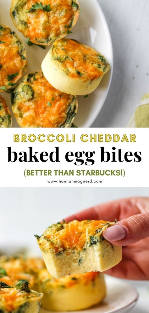 Egg Bites Broccoli Cheddar, Gluten Free Breakfast Prep, Healthy Breakfast Bites, Healthy High Protein Egg Bites, High Protein Snacks Gluten Free, Broccoli Cheese Egg Bites, Gluten Free Egg Bites, Broccoli Cheddar Egg Bites, Vegetarian Recipes Healthy Low Carb High Protein Breakfast Ideas