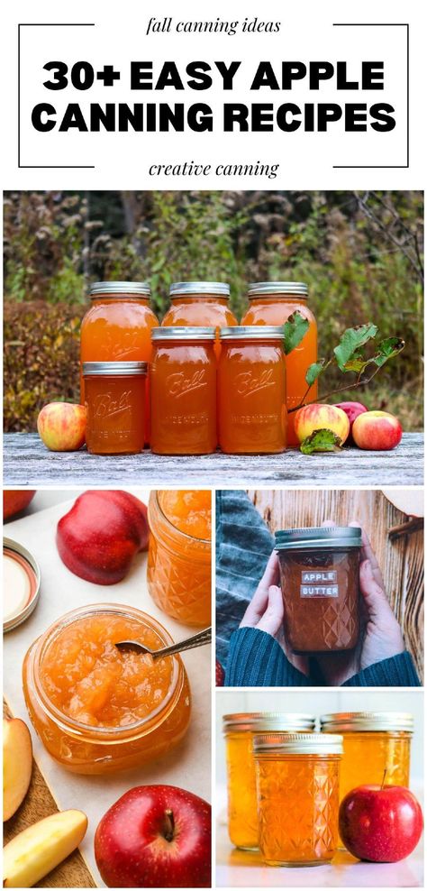 Try these 30+ easy apple canning recipes to make preserving apples simple and fun. With options like homemade apple pie filling, spiced chutney, and sweet apple butter, these recipes are perfect for beginners and experienced canners alike. Find more apple recipes, apple desserts, preserving apples, and Canning Apples & Apple Canning Recipes at creativecanning.com. Canning Fried Apples Recipe, Canned Apple Recipes, Apple Pectin Recipe, Amish Canning Recipes, Apple Canning Recipes, Apple Recipes For Canning, Apple Canning, Canning Fruit Recipes, Preserving Apples