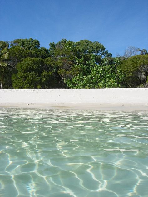 Whitehaven Beach AUSTRALIA I have to go to Australia one day!!! :D YES, the water is that crystal clear. Whitehaven Beach Australia, Whitehaven Beach, Water World, Bags Cheap, Australian Beach, Beach Water, Beach Australia, Designer Wallets, Great Barrier Reef