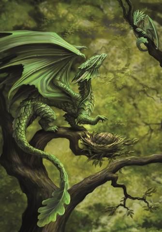 (Product Code: rAN75) Forest Dragon Card, Anne Stokes Age of Dragons Cards - EnchantedJewelry Anne Stokes Dragon, Anne Stokes Art, Forest Dragon, Anne Stokes, Here There Be Dragons, Dragon's Lair, Fairy Dragon, Here Be Dragons, Mythical Beast