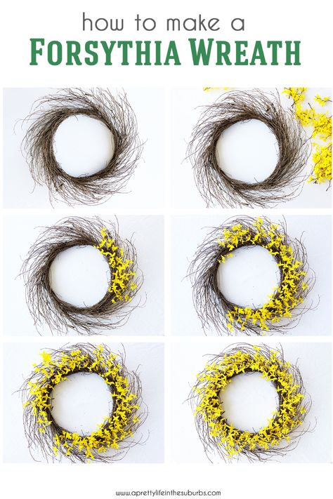 A simple tutorial to make a faux Forsythia Wreath for your front door!  This pretty yellow floral wreath is a cheery welcome for guests. Yellow Spring Wreath For Front Door, Forsythia Wreaths For Front Door, Large Wreaths, Forsythia Wreath, Welcome Signs Front Door, Orange Wreath, Porch Flowers, Yellow Wreath, Seashell Wreath