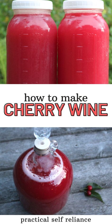 Preserving Cherries, Chokecherry Recipes, Herbal Wine, Alcoholic Drinks Recipes, Fruit Wine Recipes, Flowers Recipes, Wine Making Recipes, Homemade Wine Recipes, Making Drinks