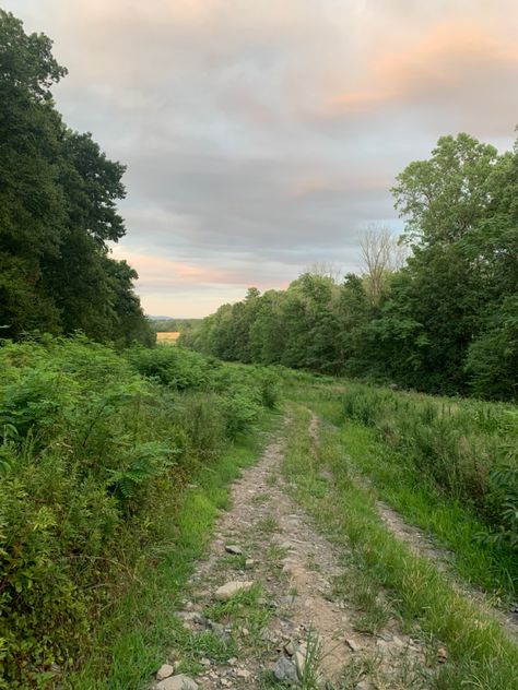 New Jersey Summer Aesthetic, Suburban Summer Aesthetic, Minnesota Summer Aesthetic, Cold Summer Aesthetic, Northeast Summer, Suburban Summer, New Jersey Aesthetic, Hometown Aesthetic, Midwest Summer