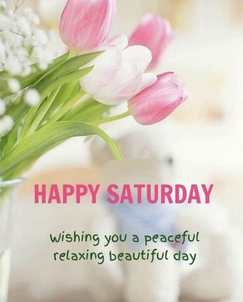 Good Morning Saturday Images with Beautiful Quotes 17 Gm Saturday, Morning Tuesday Quotes, Good Morning Tuesday Quotes, Morning Tuesday Images, Good Morning Tuesday Wishes, Tuesday Wishes, Happy Saturday Pictures, Happy Tuesday Images, Good Morning Saturday Images