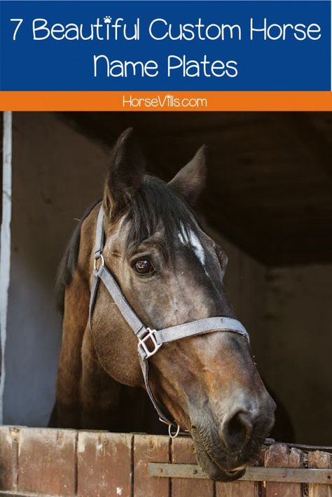 Looking for some amazing custom horse name plates to give your stable a little more pizzazz? Check out these 7 awesome ideas! Horse Name Plates, Funny Horse Names, Custom Horse Stalls, Horse Stall Sign, Wooden Name Plates, Stall Signs, Horse Stall, Indian Horses, Personalized Name Plates