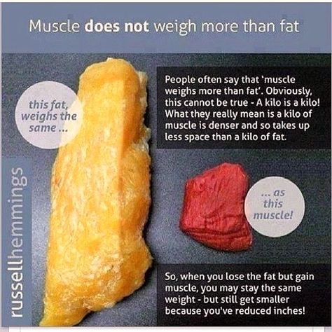 Fat Vs Muscle, Fitness Memes, Fitness Logo, Healthy Eating Recipes, Healthy Tips, Healthy Weight, Get Healthy, Fun Workouts, Fitness Tips