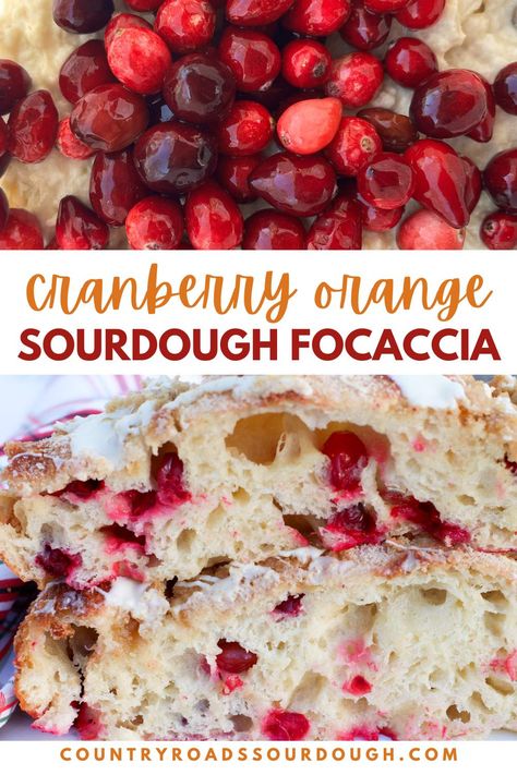 Cranberry Orange Sourdough Focaccia Cranberry Orange Foccacia Bread, Cranberry Orange Sourdough Focaccia Amy Bakes Bread, Foccacia Bread Cranberry, Cranberry Orange Scones Sourdough, Orange Cranberry Sourdough Focaccia, Orange Cranberry Focaccia, Sourdough Foccacia Recipe Christmas, Fresh Cranberry Sourdough Bread, All Things Sourdough