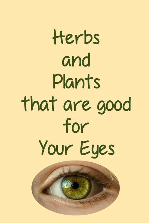 There are natural ways to improve your eyesight including using plant remedies. Discover the plants that can improve eyesight naturally. Plants that can help macular degeneration, glaucoma, night blindness, sties and tics. Eye Health Food, Eye Health Remedies, Eyesight Improvement, Natural Remedies For Sore Throat, To Improve Eyesight, Healthy Vision, Natural Remedies For Cough, Eye Vision, Home Remedies For Cold