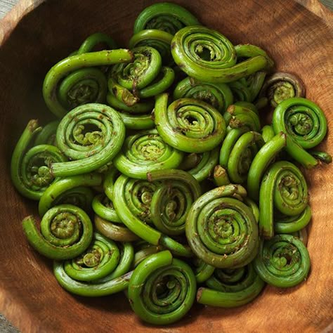 Fiddlehead Ferns, Wild Foraging, Wild Food Foraging, Bizarre Foods, Foraging Recipes, Edible Wild Plants, Foraged Food, Wild Edibles, Vegetable Seasoning