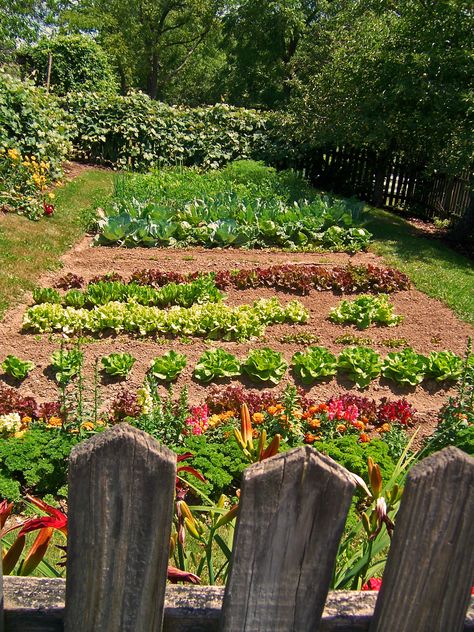 Country Garden Vegetable, Vegetable Patch Garden, Fruit Vegetable Garden, Country Farm Garden, Country Veggie Garden, Food And Flower Garden, Fruit Patch Garden, Farm Veggie Garden, Farm Fruits And Vegetables