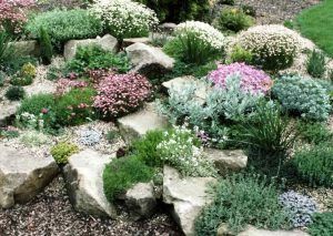 Front Yard Rock Garden, Backyard Rock Garden, Garden Landscaping Design Ideas, Rockery Garden, Garden Landscaping Ideas, Rock Garden Plants, Succulent Landscaping, Rock Garden Design, Landscaping Inspiration