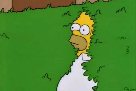 The Full-Circle Journey of ‘Homer Simpson Backs Into the Bushes’ Homer Simpson, The Simpsons