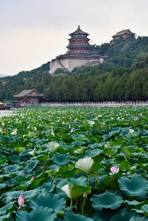 Imperial China Aesthetic, Beijing Aesthetic, Summer Palace Beijing, Where To Stay In London, The Summer Palace, China Travel Guide, China City, Visit China, Summer Palace