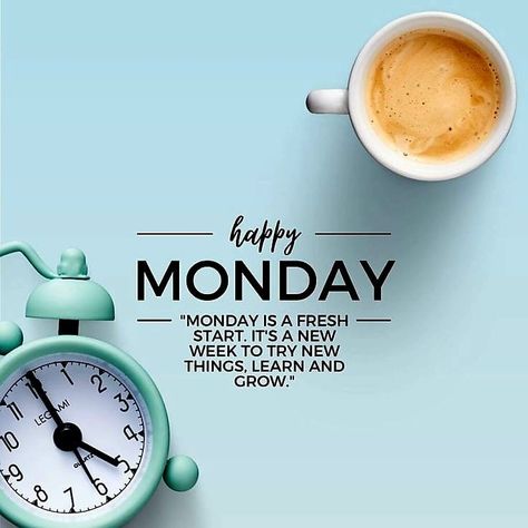 Monday Quotes Positive, Good Morning Monday Quotes, Morning Monday Quotes, Happy Monday Images, Padme Quotes, Monday Morning Motivation, Good Morning Monday Images, Morning Motivation Quotes, Today Is Monday